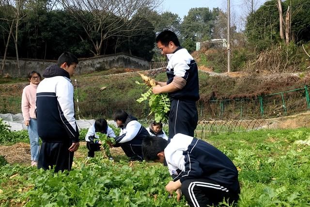 东莞叛逆青少年教育学校，东莞叛逆青少年管教学校？